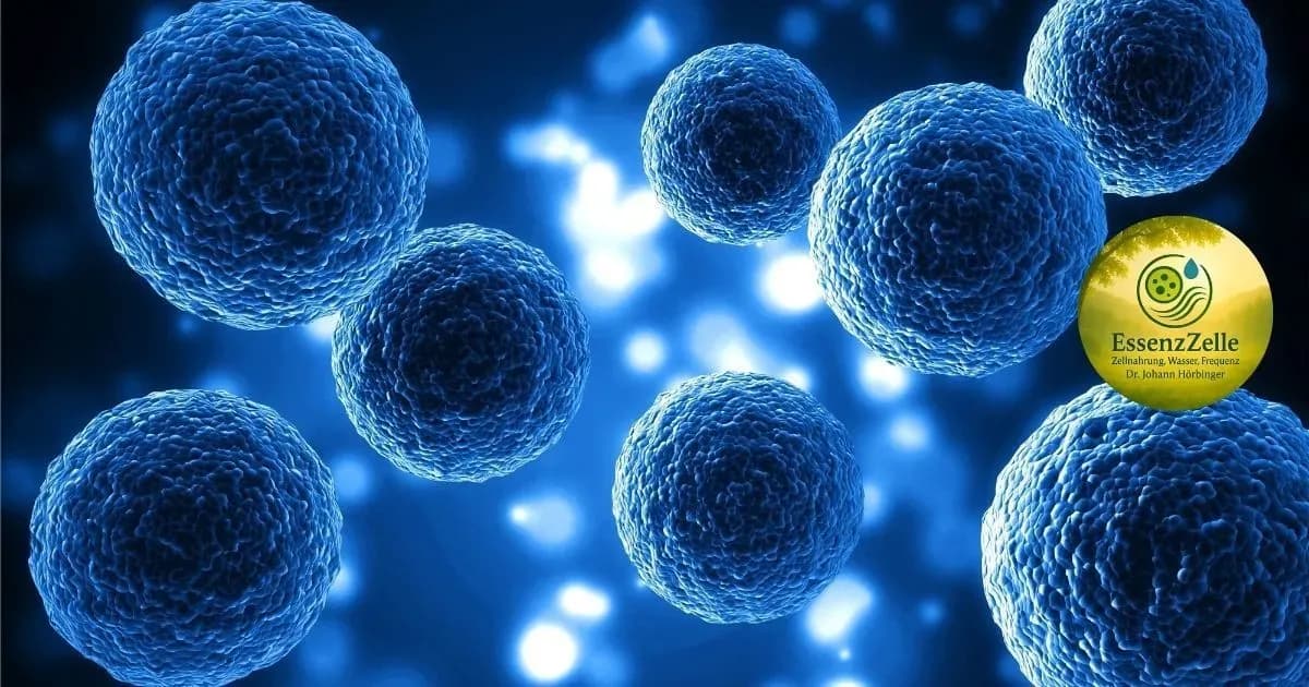 Anti Aging mit Naturprodukten in Salzburg – Zellgesundheit neu gedacht